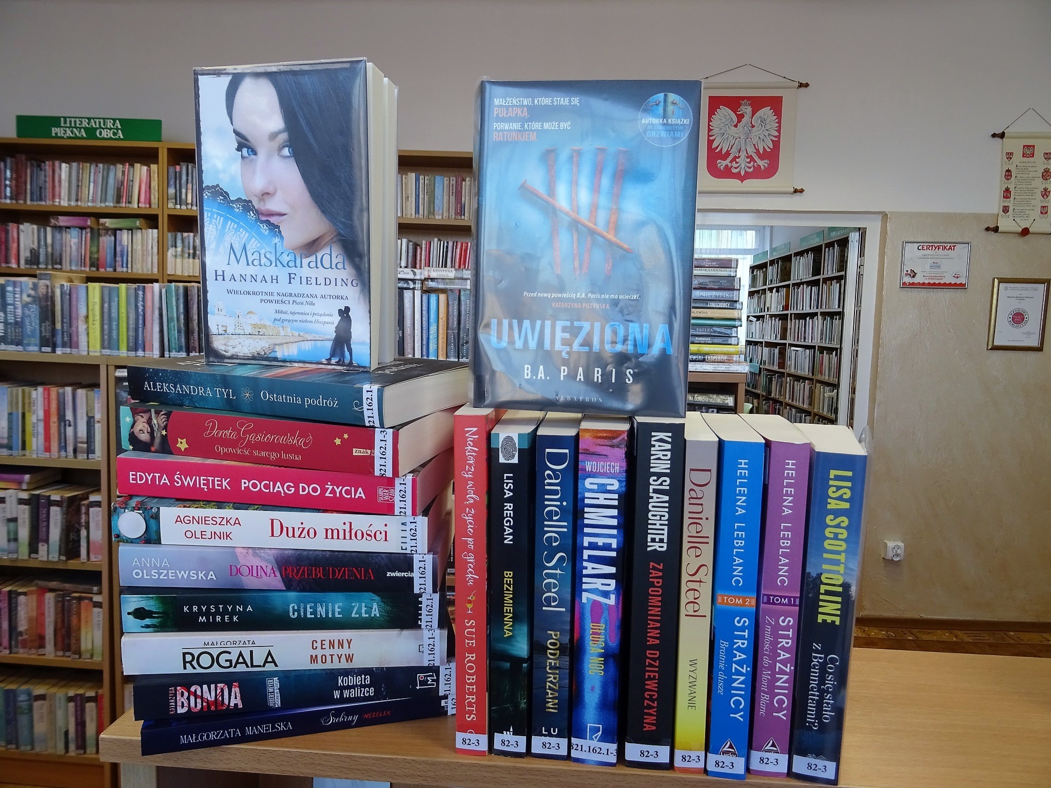 kilkanaście nowości książkowych stojących na ladzie bibliotecznej